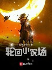 轮回小农场免费阅读笔趣阁