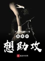 我真的是助理笔趣阁
