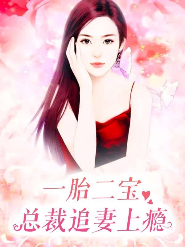 一胎二宝总裁追妻上瘾大结局
