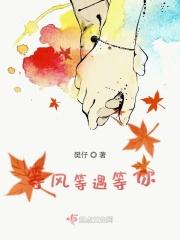 等风也等你短剧全集