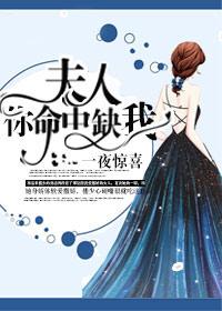 一夜惊喜夫人你命中缺我听书