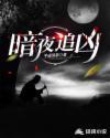暗夜追凶令