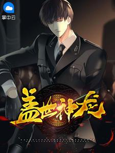 盖世龙战