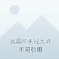 修成仙的我只想养女徒弟