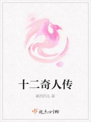 十二奇案在线