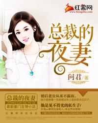 总裁的夜妻 问君