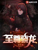 至尊骁龙八