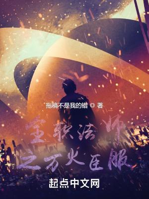 全职法师之万火臣服 剧情梗概