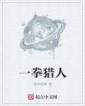 综一拳猎人