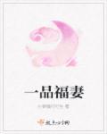 一品富少