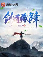 藏剑秦风