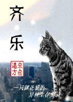 齐乐公园的作文