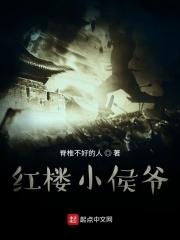 红楼之史侯爷