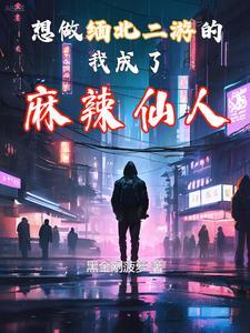 缅北街头