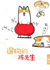 遛狗的陈先生全文免费阅读