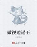 逍遥傲婿