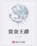 赏金奇兵3男爵挑战攻略