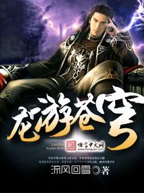 龙游苍穹TⅩT