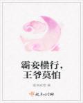 王爷霸情