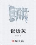 一念长久锦绣灰