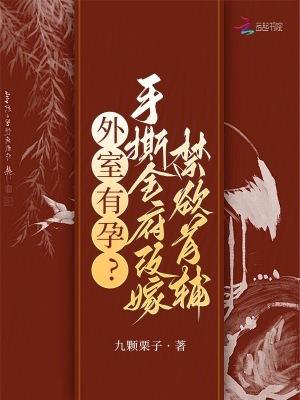 外室全文免费阅读无防盗章节