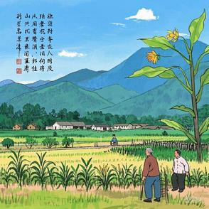 山间吹来的风