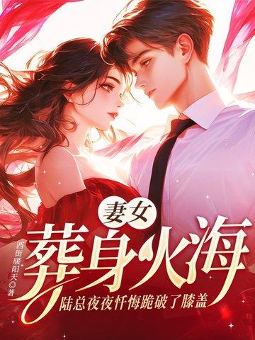 陆总追妻火葬场