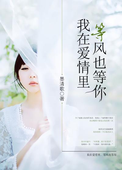 我在等风也在等你的歌曲