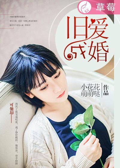旧爱成婚txt丁律律