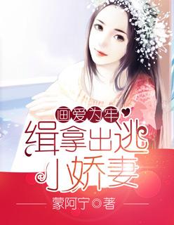 画爱为牢缉拿出逃小娇妻TXT