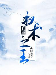 权术之王免费全本