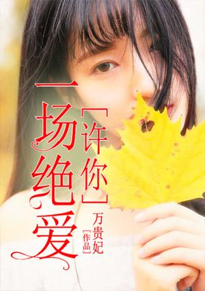 许你一场烟花爱情