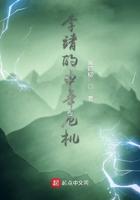 李靖的中年危机TXT