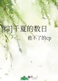 综乙女选择