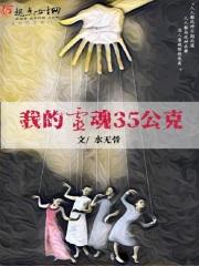 我的灵魂歌词