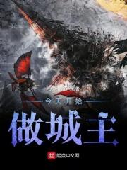 今天开始做城主笔趣阁熬夜大白
