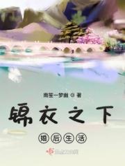 锦衣之下婚后