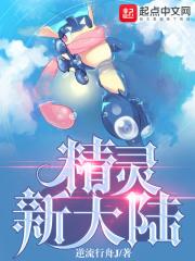 精灵新大陆网吧
