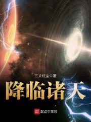 降临诸天之主